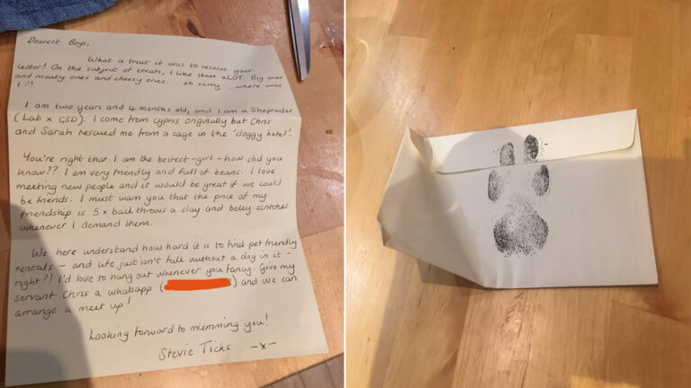 Dog Lovers Are Thrilled To Receive A Letter From The Puppy Next Door