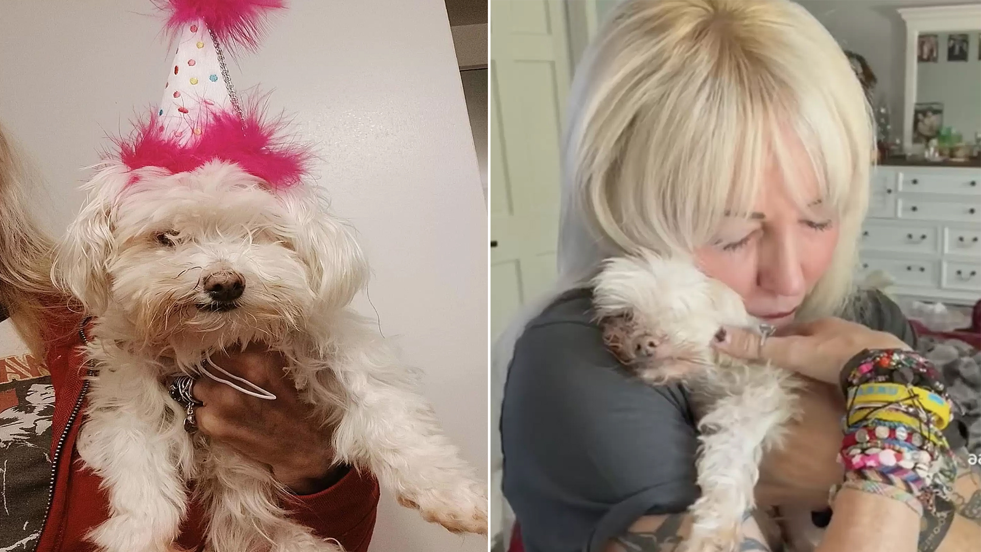 Deaf and Blind Dog, New to Love, Enjoys Daily Slow Dances with Mom