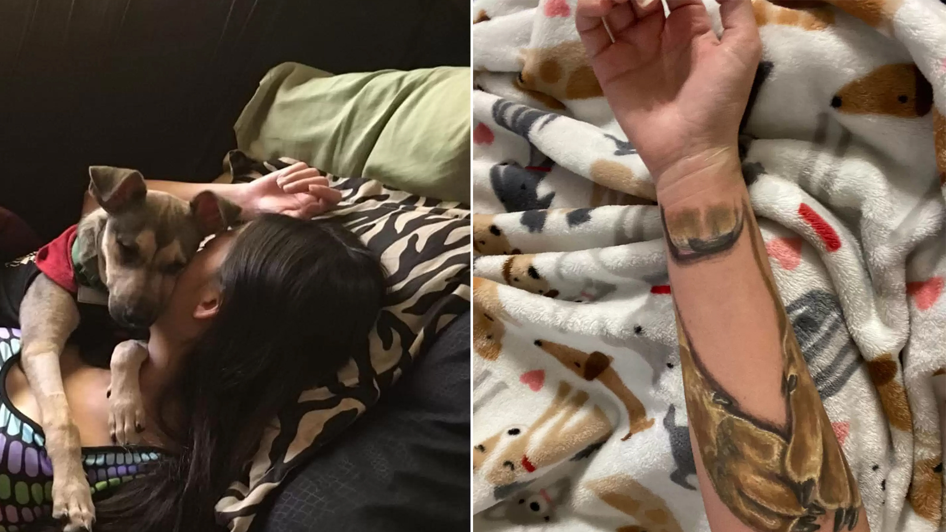 Woman Receives Heartwarming Tattoo In Honor Of Her Cherished Dog