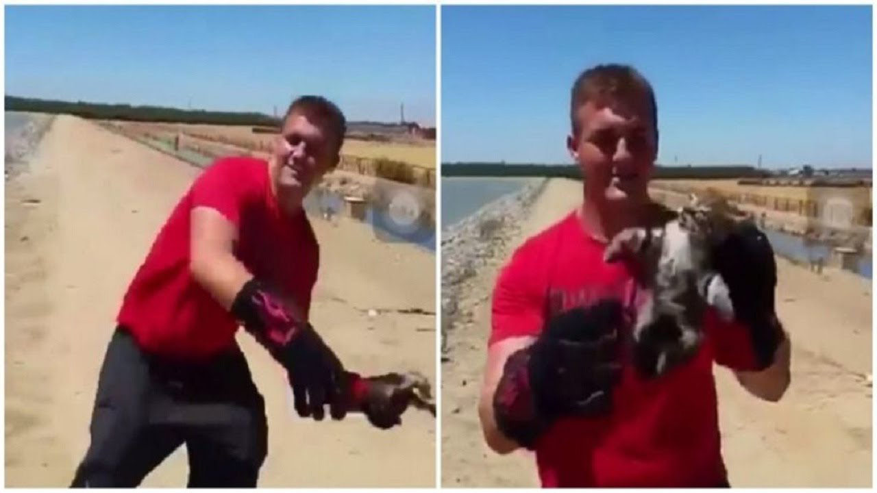 Teen Caught On Camera Disposing Of Tiny Kitten Into A Lake, Prompting Law Enforcement To Arrive And Ensure Justice Is Served