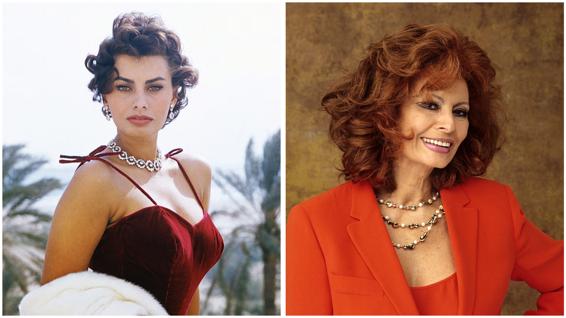 How Sophia Loren Transformed Into A Cinematic Icon