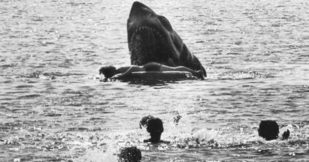 Jaws scene The shark attack