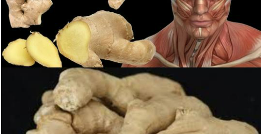 Eating Ginger