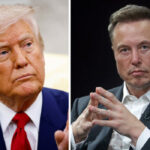 Elon Musk trashes spending plan