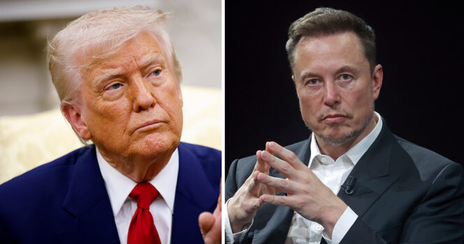 Elon Musk trashes spending plan