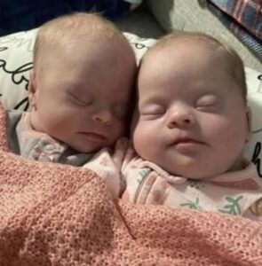 Twin