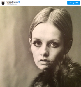 Twiggy