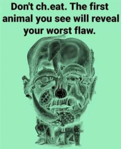 animal