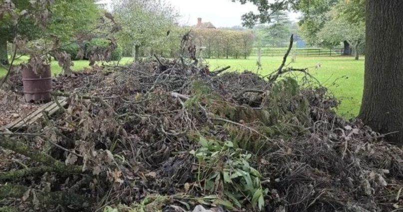 Can you spot the hidden dog? Only those with ‘sniper vision’ can find it