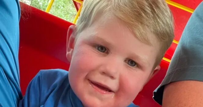 Georgia toddler stung more than 150 times by yellow jackets, fighting for life