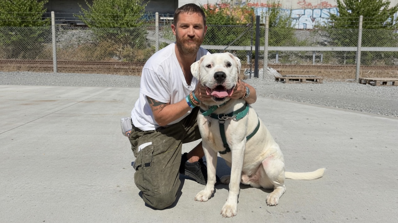 Tom Hardy honored his rescue dog’s six‑year life by raising 0,000 for shelters and sharing a five‑word tribute: “He was a shining example.”